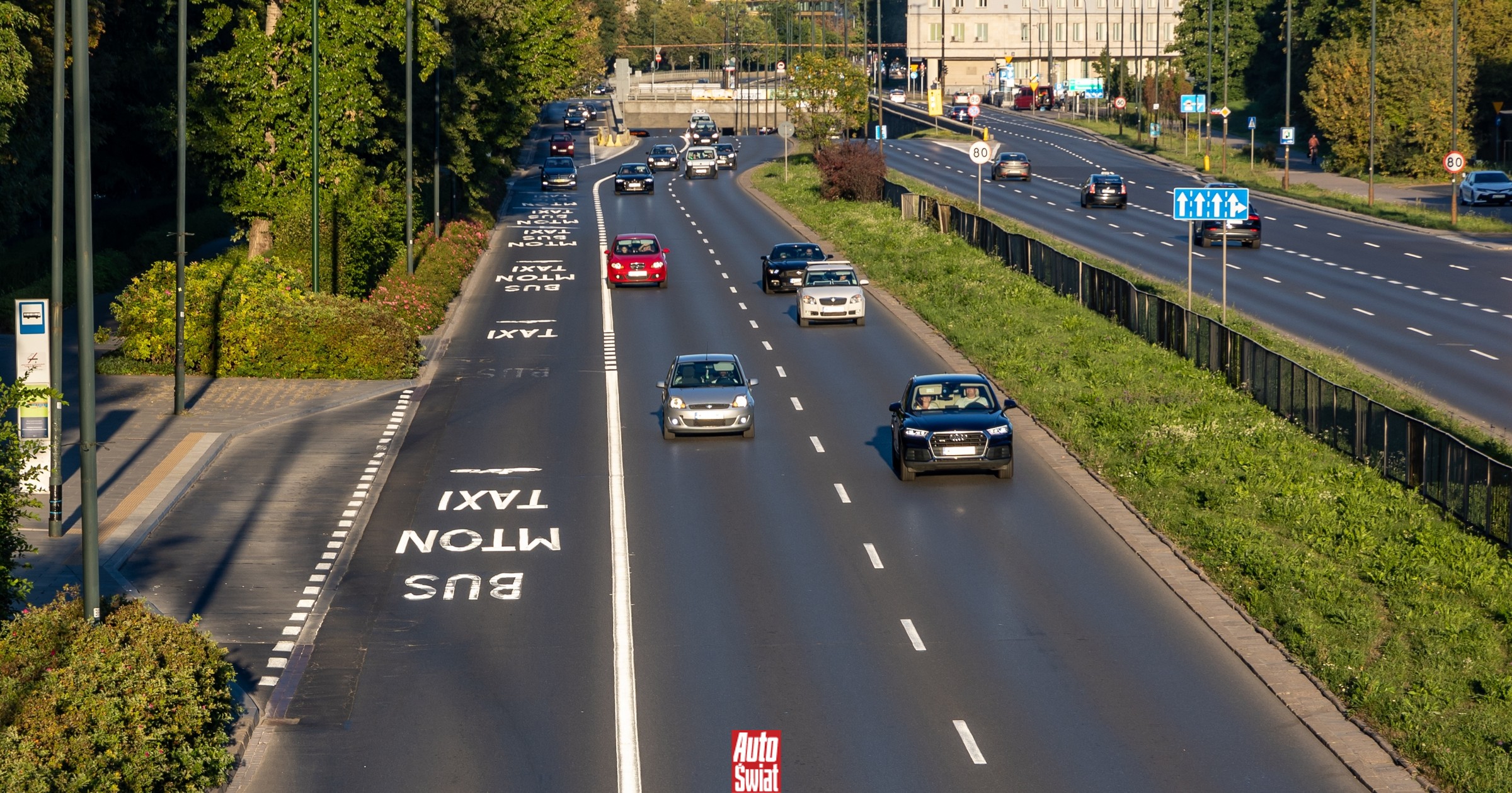 Znaki poziome są zagadką dla kierowców. Wielu zapomina o ich znaczeniu
