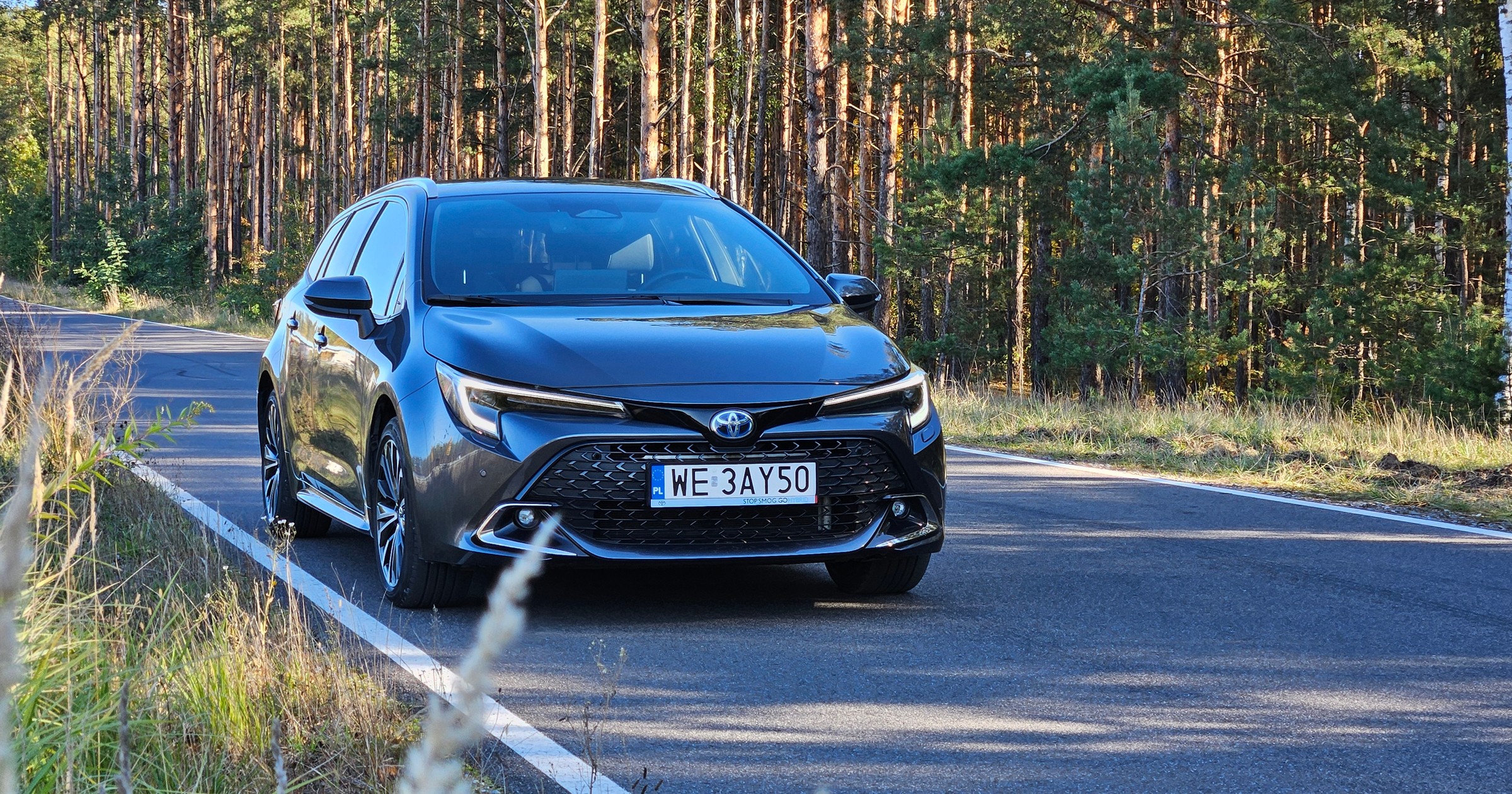 Toyota Corolla TS