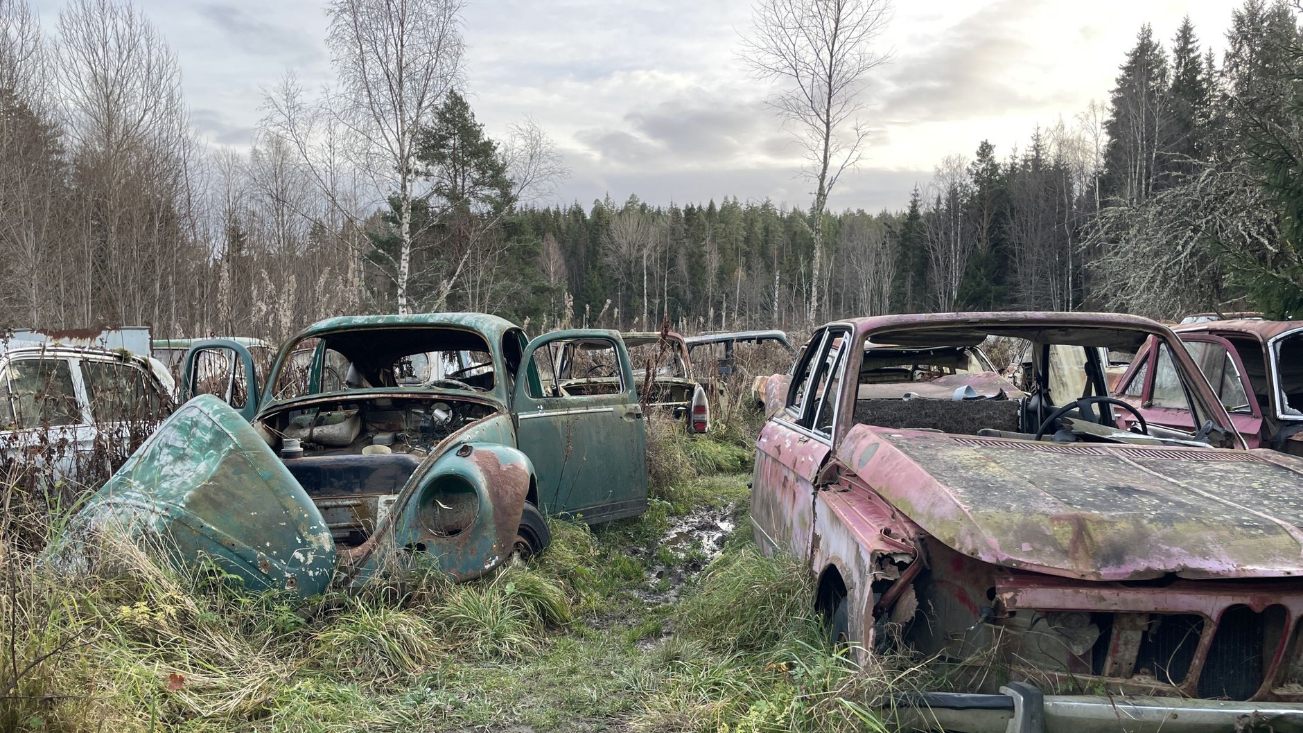 Cmentarzysko samochodów w Bastnas w Szwecji