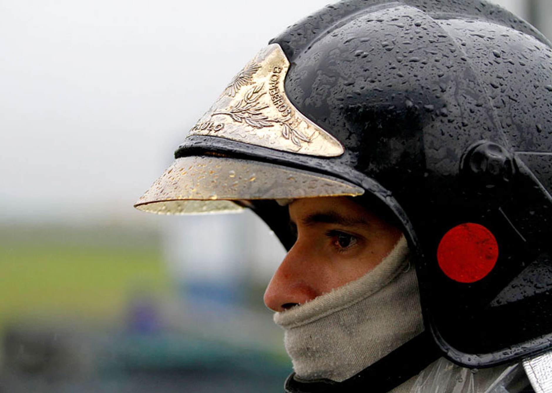 Grand Prix Brazylii 2009: Jenson Button mistrzem świata - fotogaleria Jiří Křenek