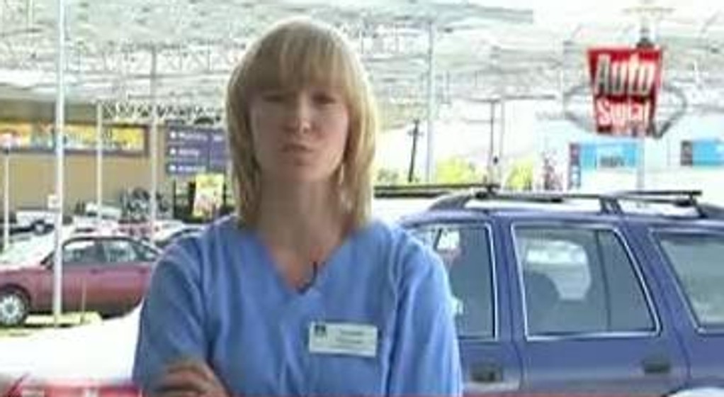 Co trzeba mieć aby pojechać ze zwierzakami za granicę?