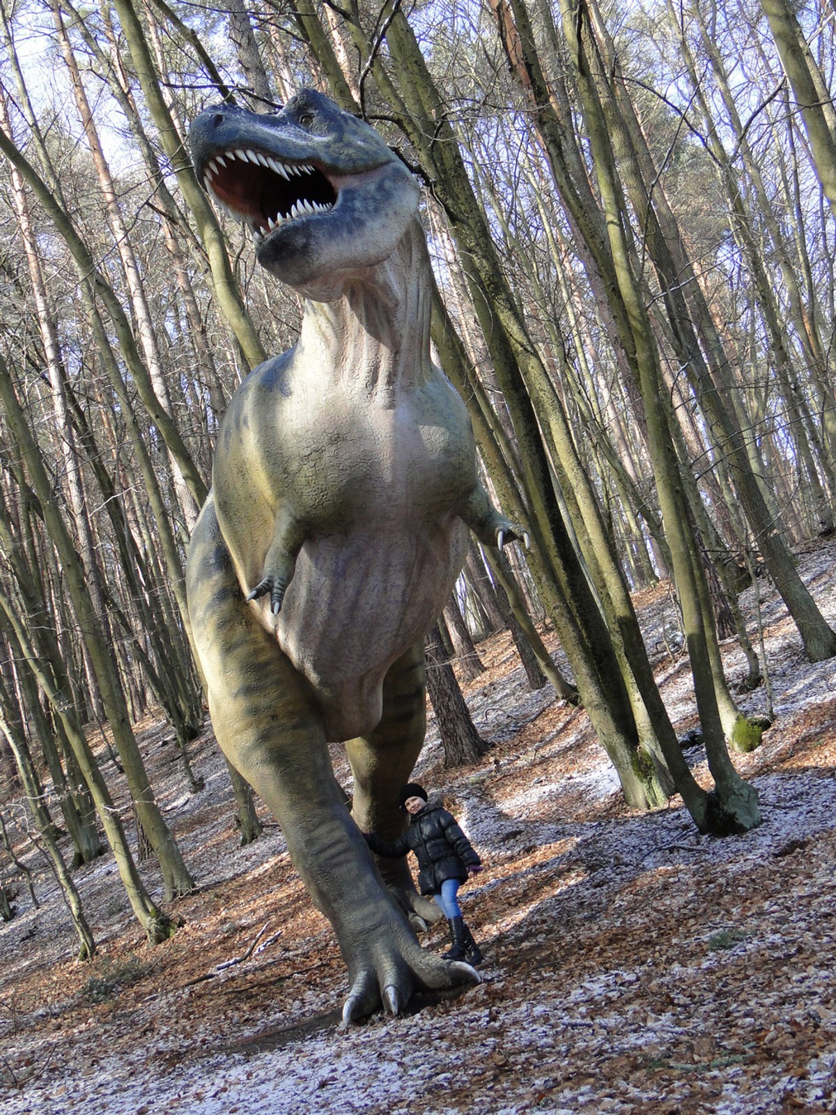 Rodzinne podróże z Fordem Grand C-Maxem: weekend nad Bałtykiem