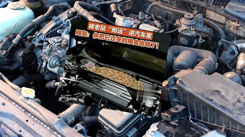 Pod maską samochodu