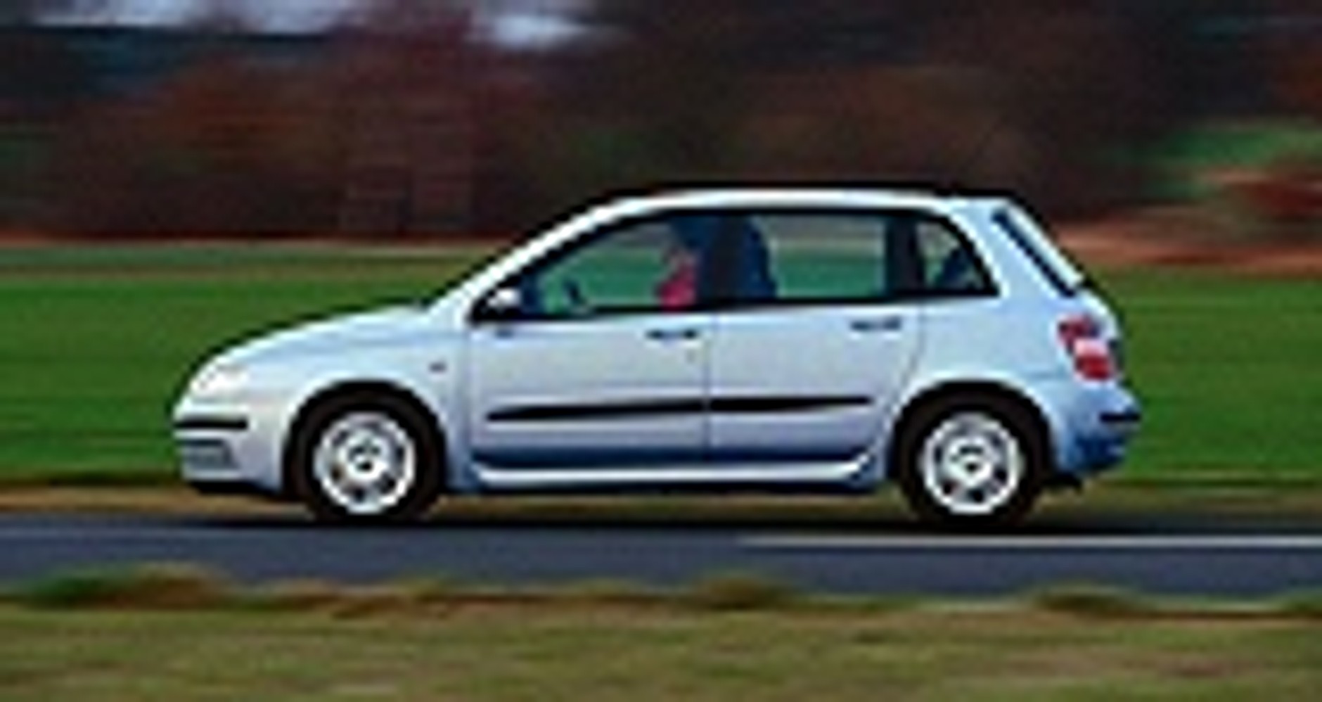 Szara myszka wychodzi z cienia