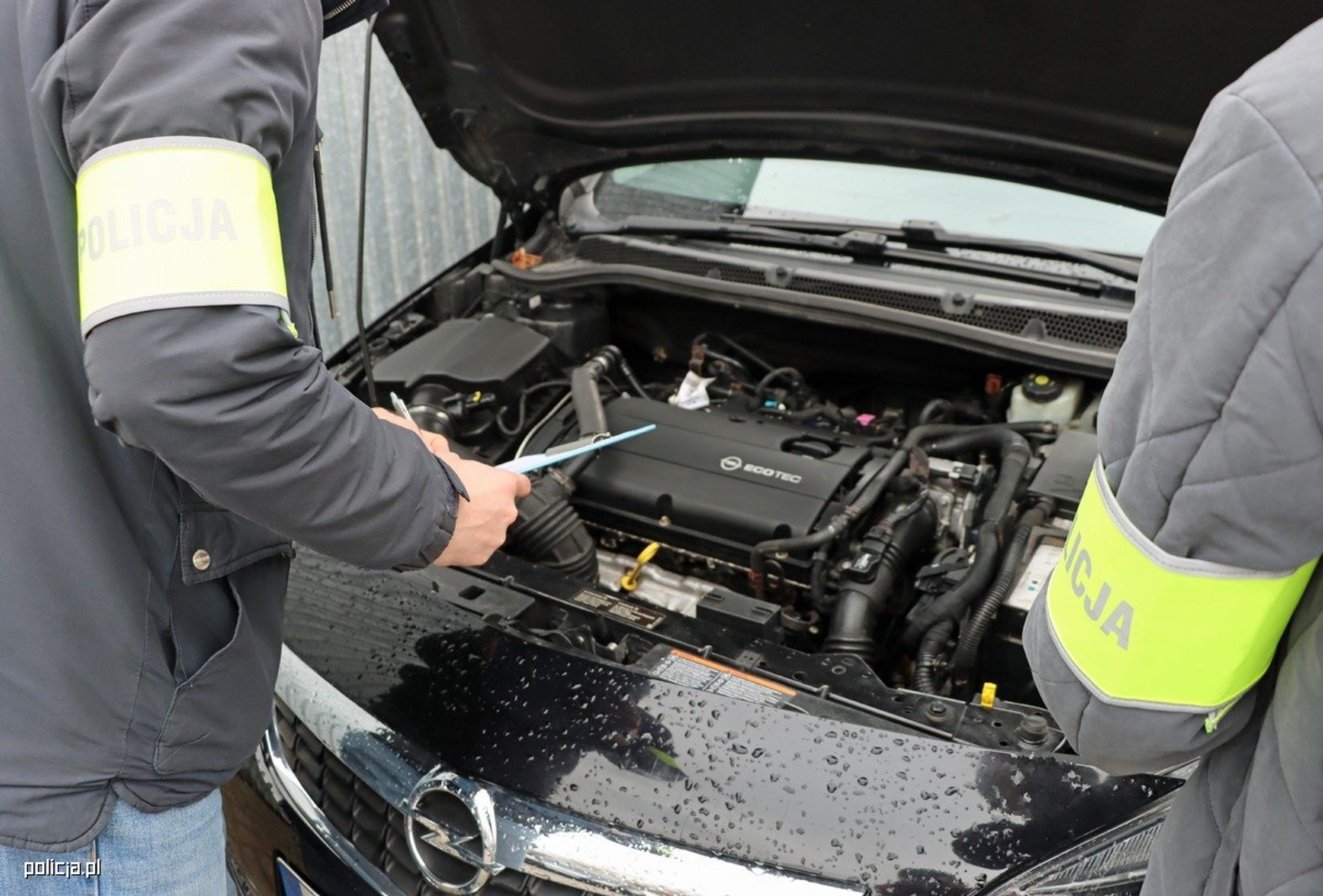 Policjanci pokazali wnętrze "dziupli". A w niej fury za 200 tys. zł