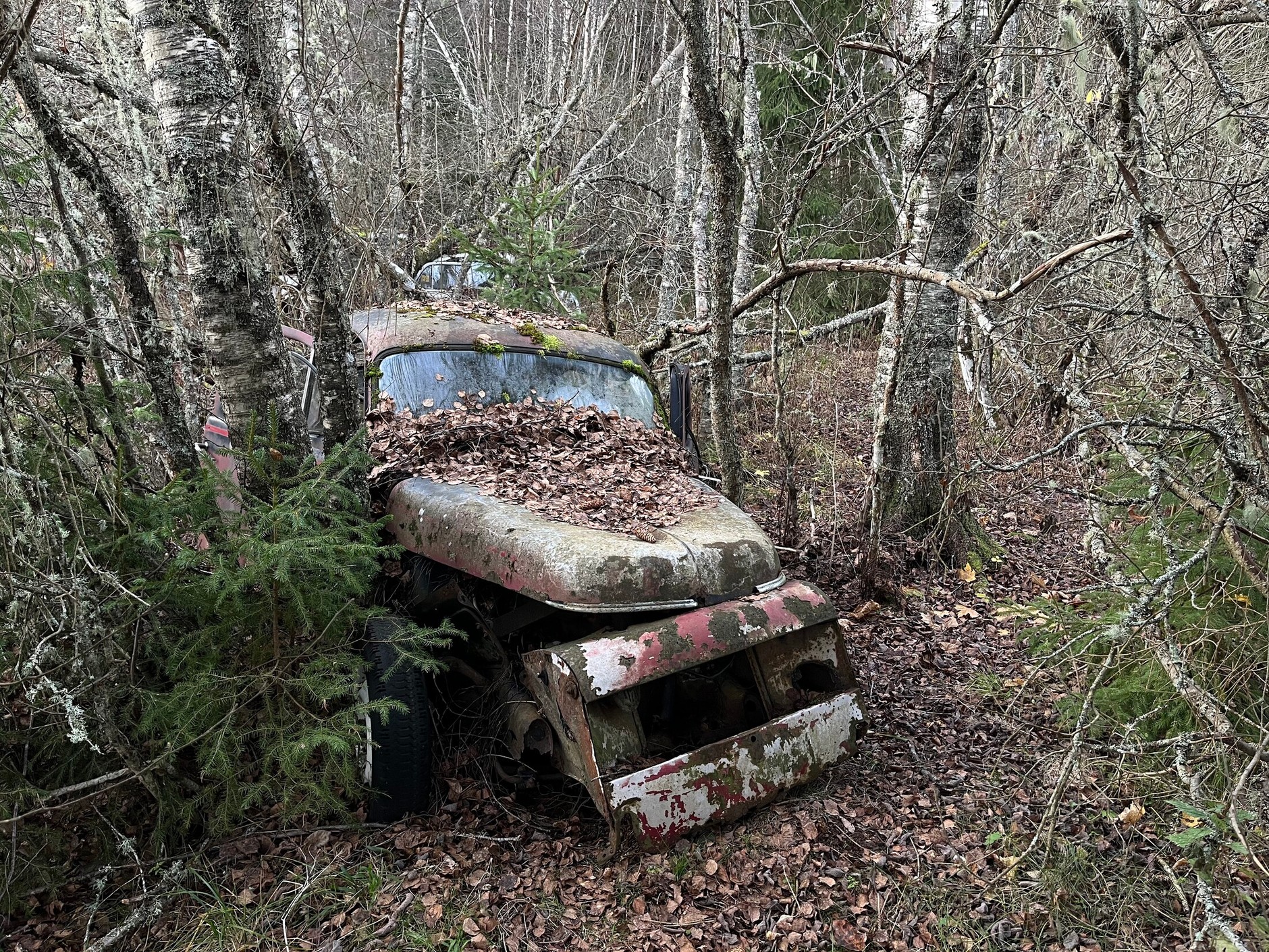 Cmentarzysko samochodów w Bastnas w Szwecji