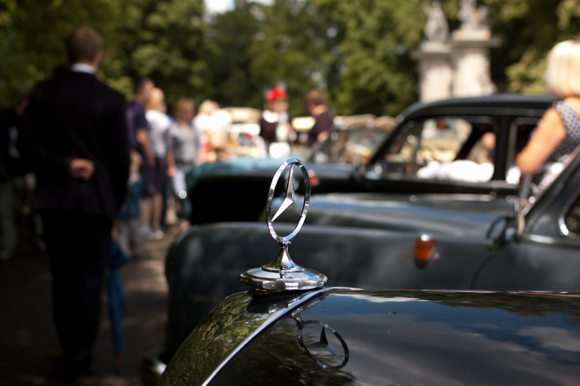 Klasyczne Mercedesy w Wilanowie