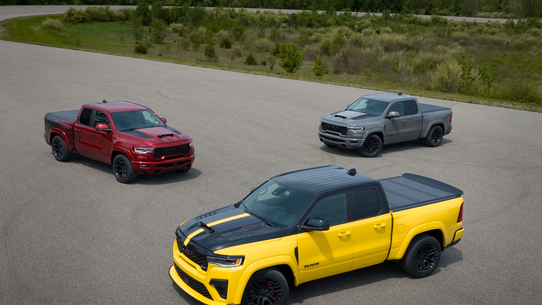 Rodzina Ram Rumble Bee