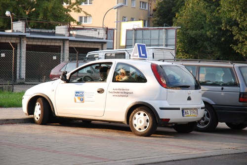 Zdaj egzamin za pierwszym razem