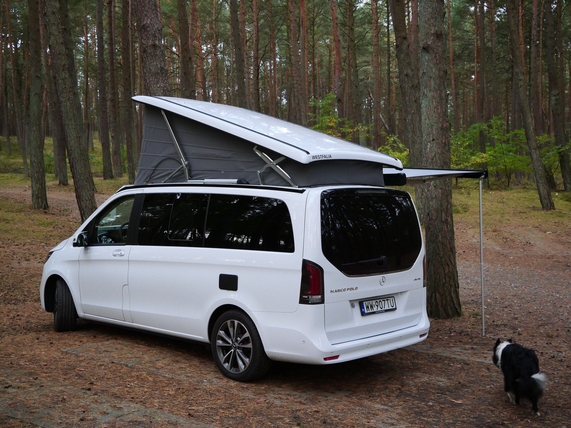 Mercedes-Benz Klasy V Marco Polo