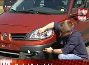Co robić gdy potrącimy zwierzę?