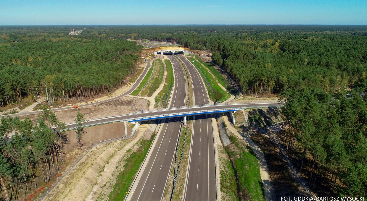 Droga ekspresowa S19 Via Carpatia będzie dłuższa. Ruszył nowy przetarg