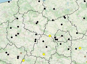 Wakacyjna mapa wypadków drogowych: już 59 ofiar