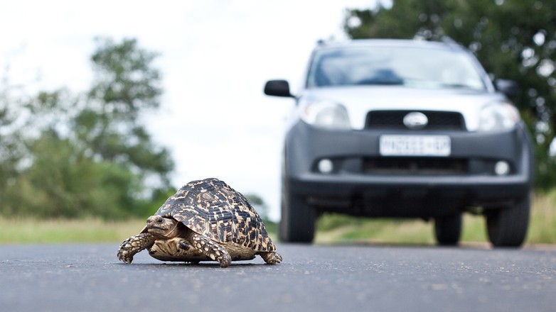 Dziesięć sposobów na "wkurzenie" innych kierowców