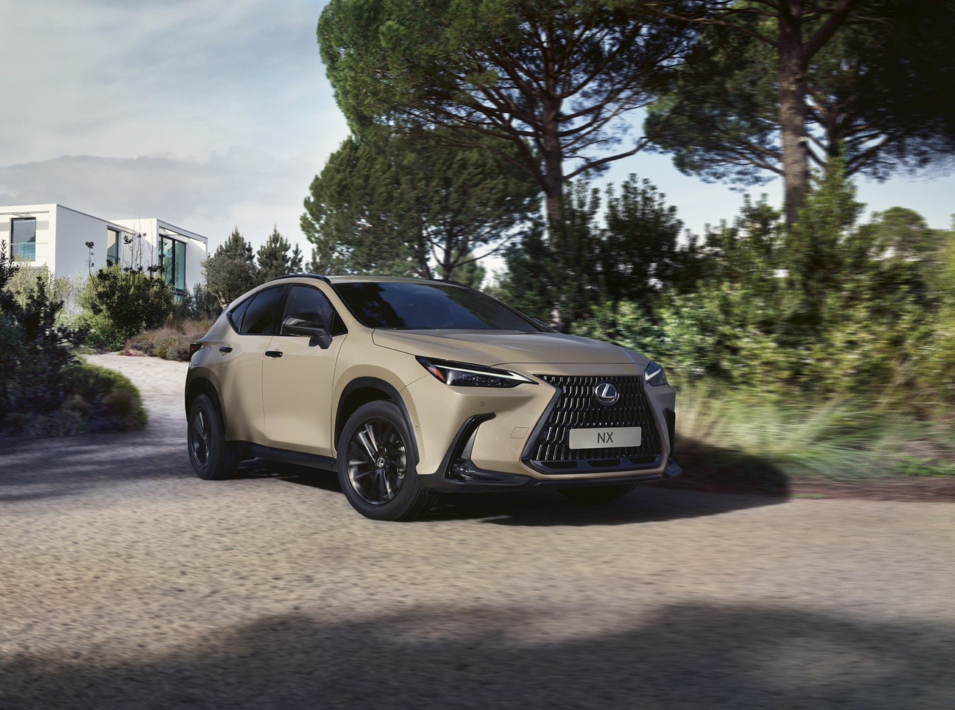 Lexus NX Overtrail