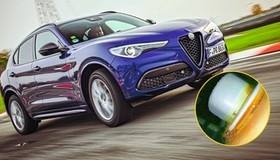 Alfa Romeo Stelvio po 100 tys. km