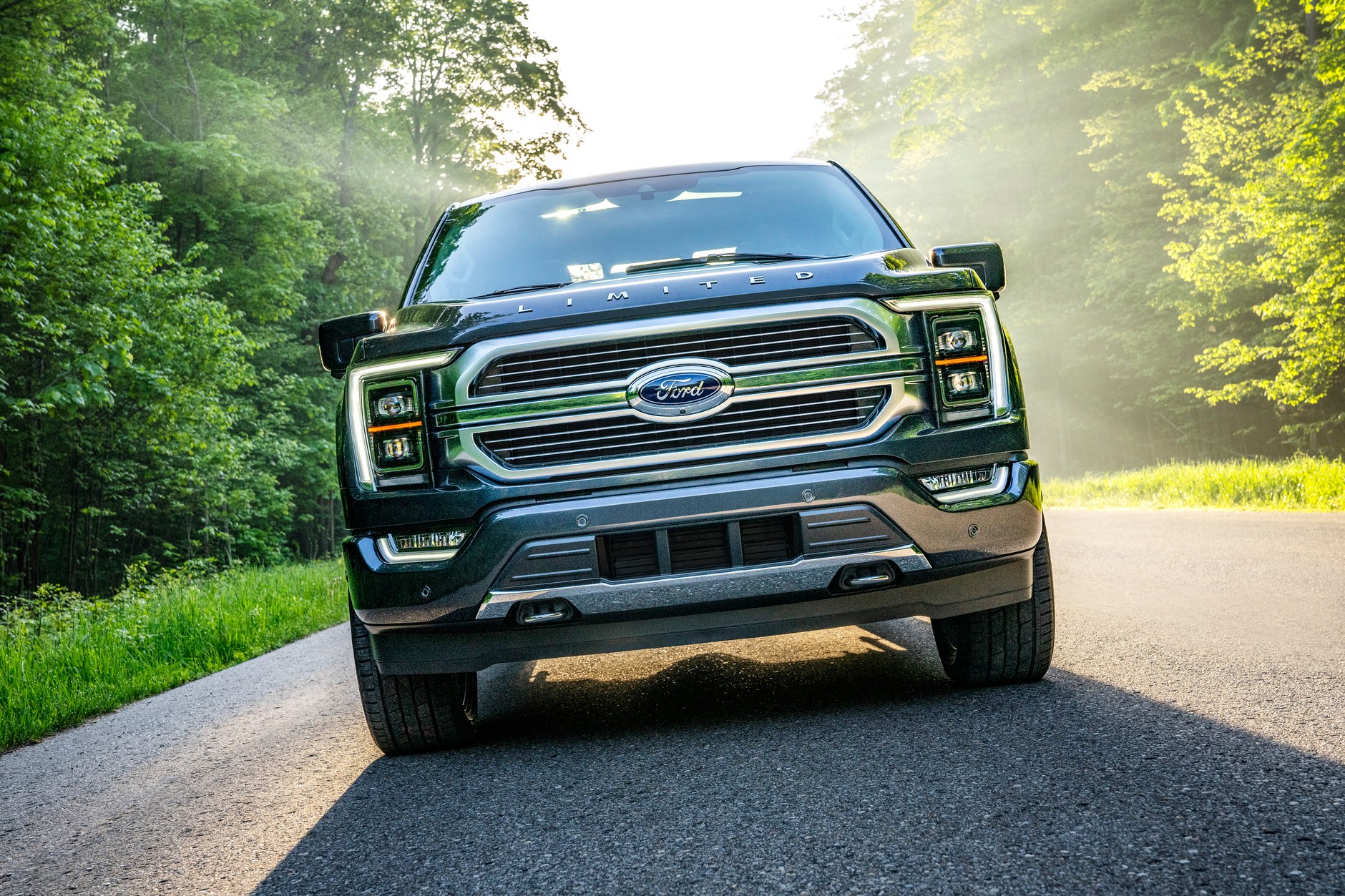 Ford z serii F (14. generacja; od 2020 r.)
