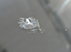 Odprysk na szybie - co robić? Test sieci warsztatów naprawiających szyby samochodowe