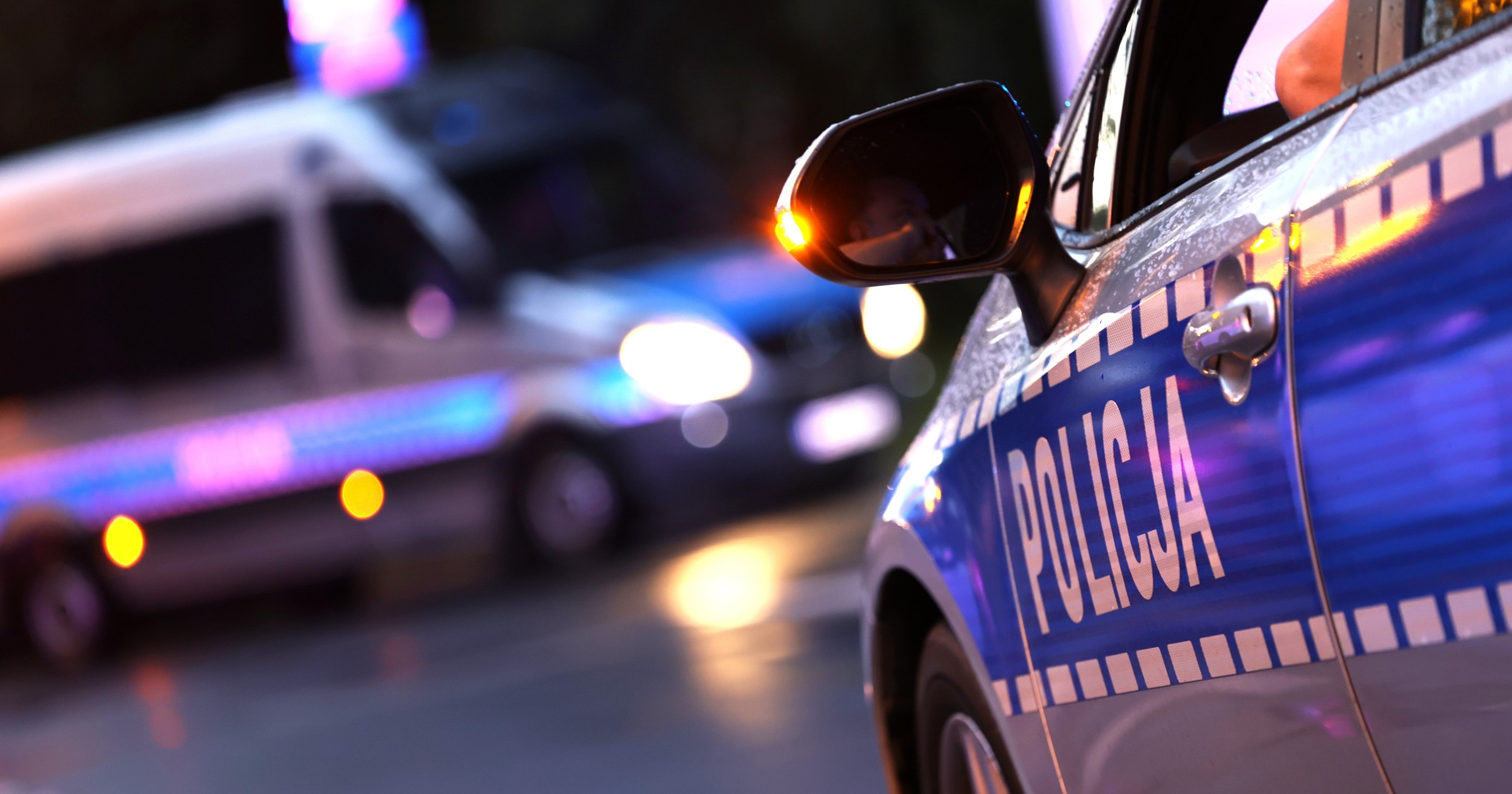 Polska policja