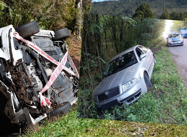 Skoda w rowie, mężczyzna w aucie. Wszystko zwęszył Polon
