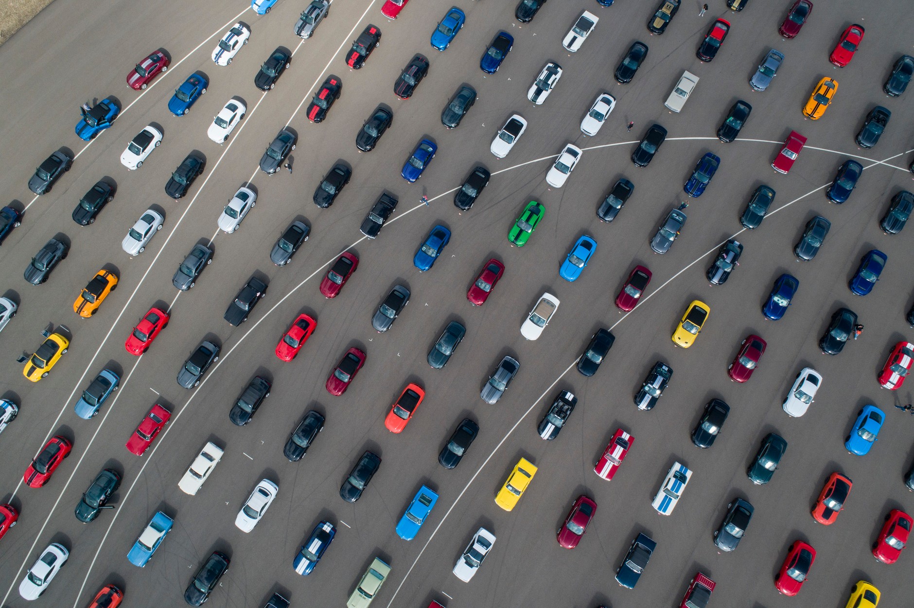 Rekordowy zlot Forda Mustanga