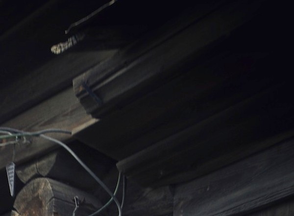 Nowa Mazda 3 na Syberii – wyprawa przekracza granice