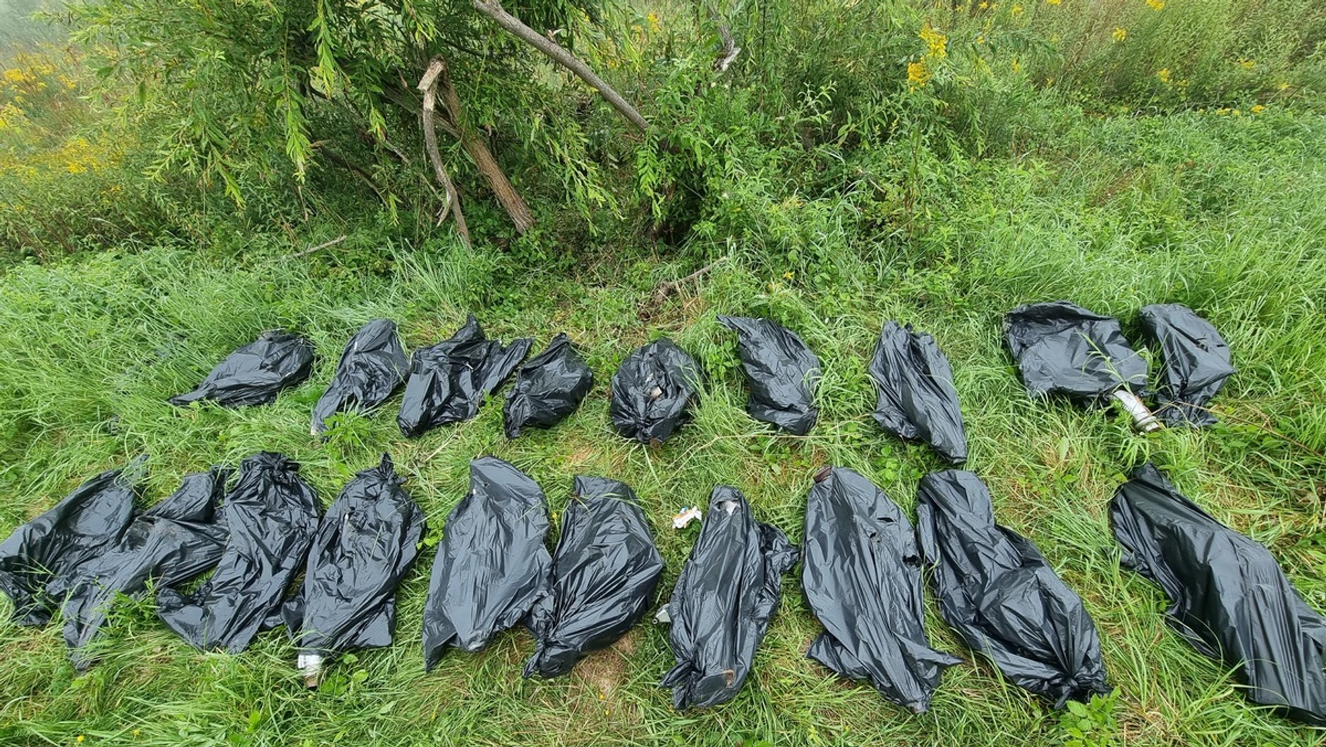 Kradzione katalizatory po rozpakowaniu