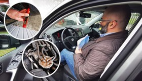 Z wizytą w blaszaku flippera