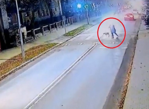 Wjechał w ludzi i psa na przejściu dla pieszych