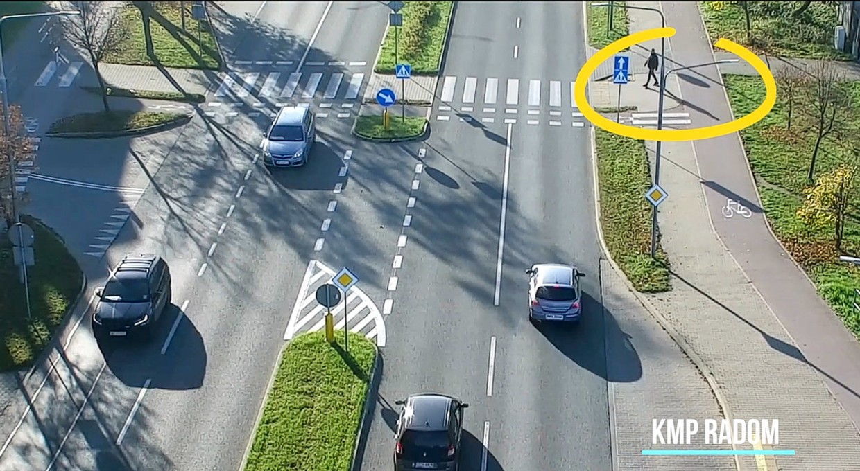 Tego nie lubią kierowcy. Policjanci znowu ich zaskoczyli [WIDEO]
