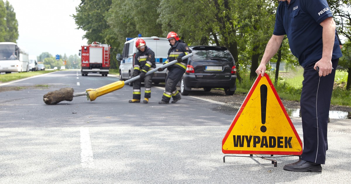 wypadek