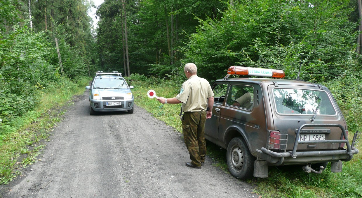 Samochodem w las. Kiedy można wjechać, a kiedy nie?