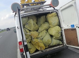 Wyrzucamy na pobocza miliony. GDDKiA przyznała, ile wydaje na sprzątanie