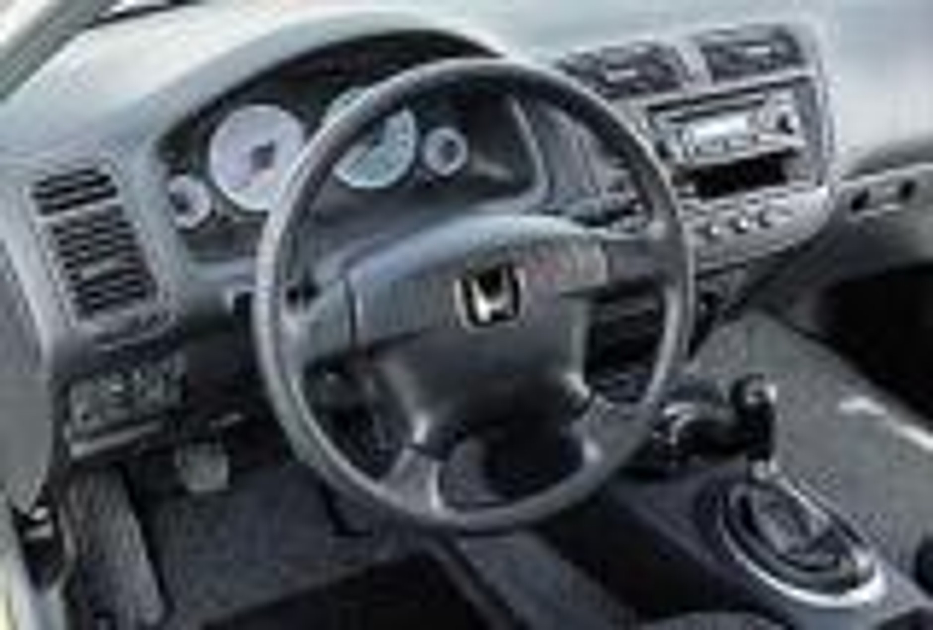 Przedłużenie gatunku