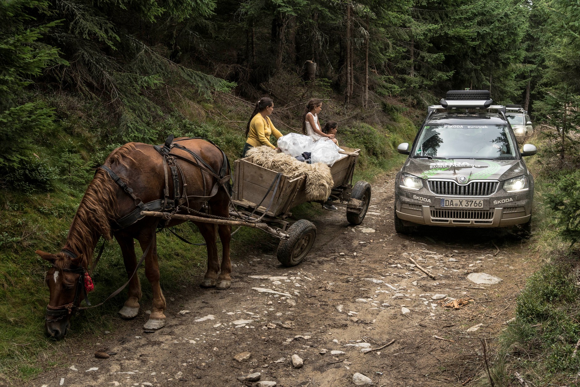 Skodą Yeti w Karpatach dla zuchwałych