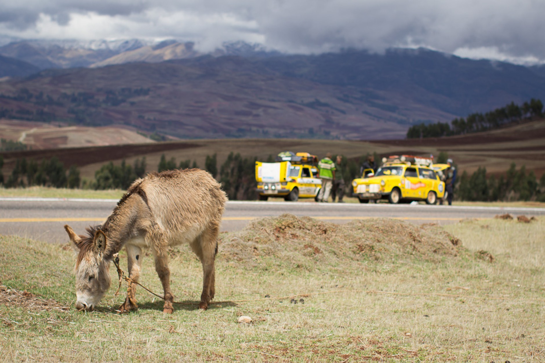 Maluch w Peru - SlowRide w akcji