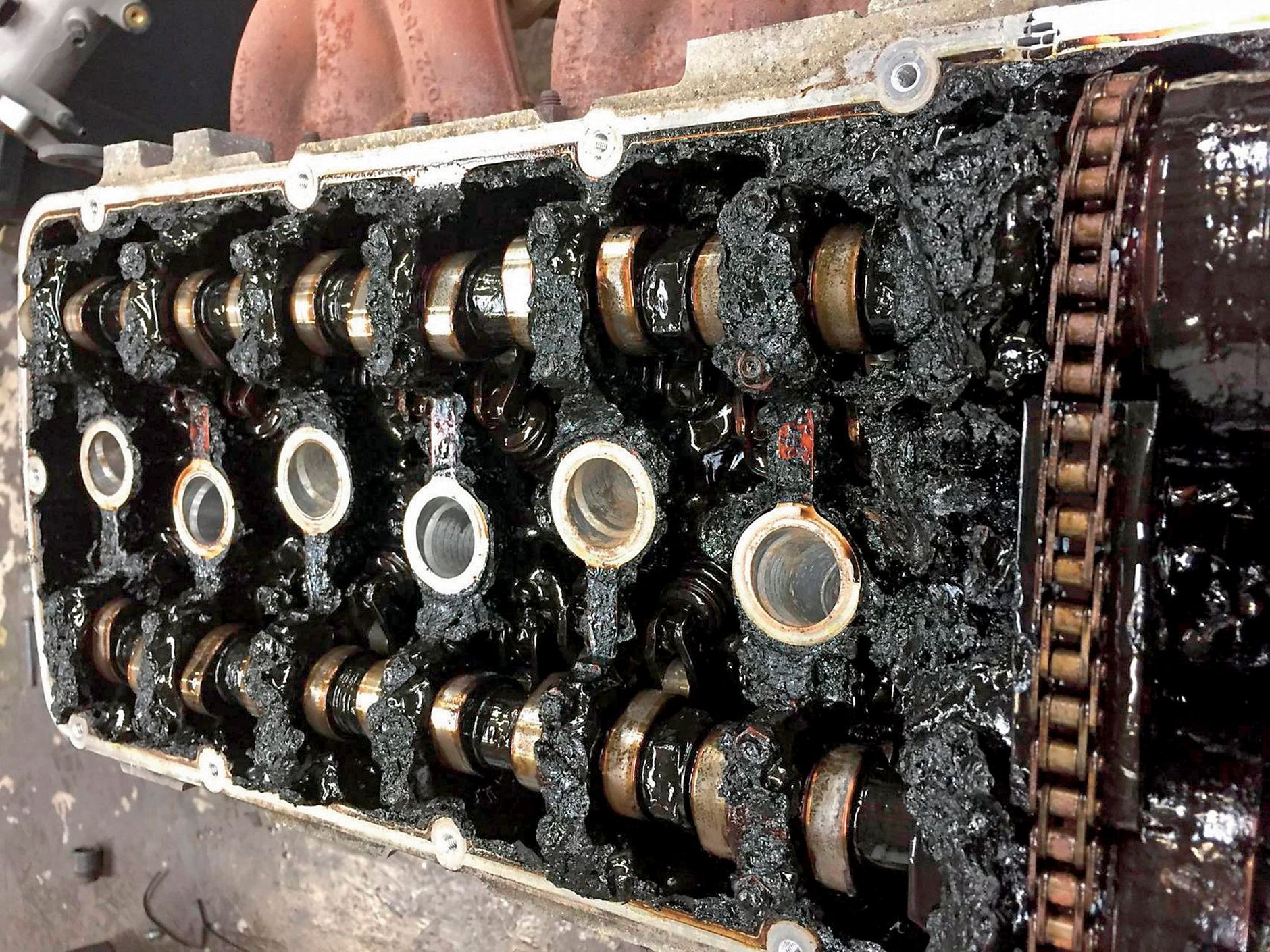 Serwis LongLife nie zawsze się sprawdza...