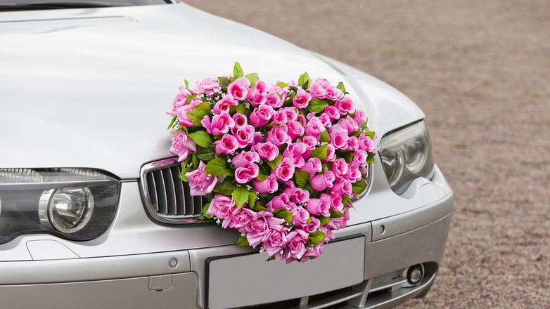 shutterstock 59045674