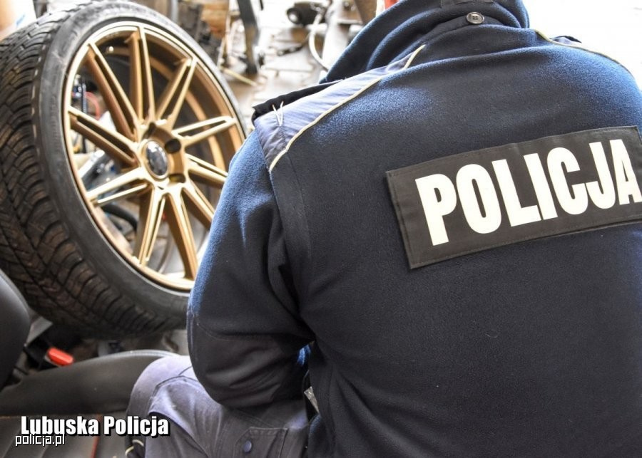 Złodziejska dziupla