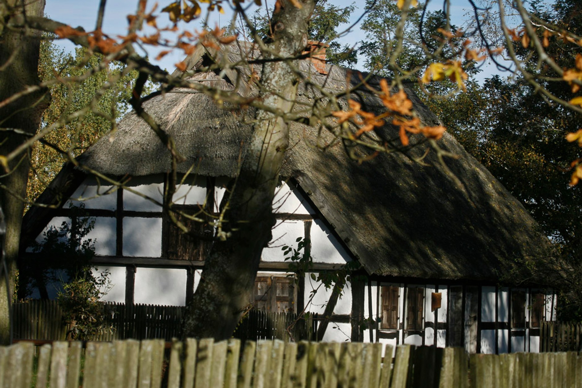 Skodą Yeti i rowerem wzdłuż wybrzeża