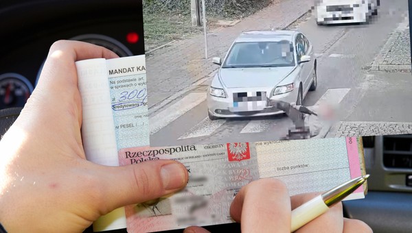 Pieszy myślał, że zawsze ma pierwszeństwo na przejściu. Trochę się pomylił