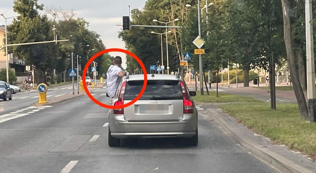 Pulawy