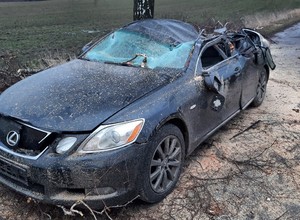 Lexus zmiażdżony przez drzewo. Kierująca autem miała więcej szczęścia