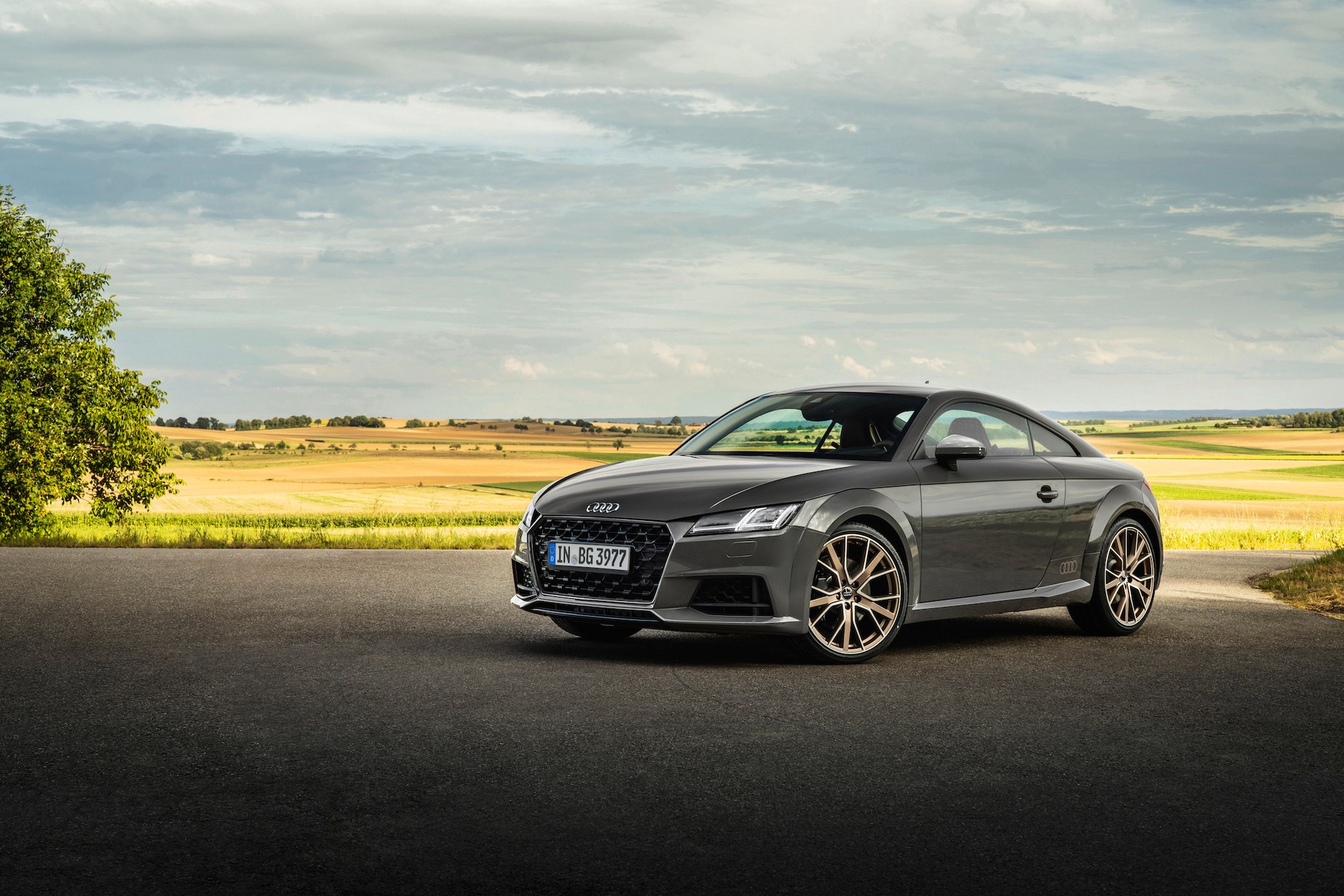 Audi TT bronze selection