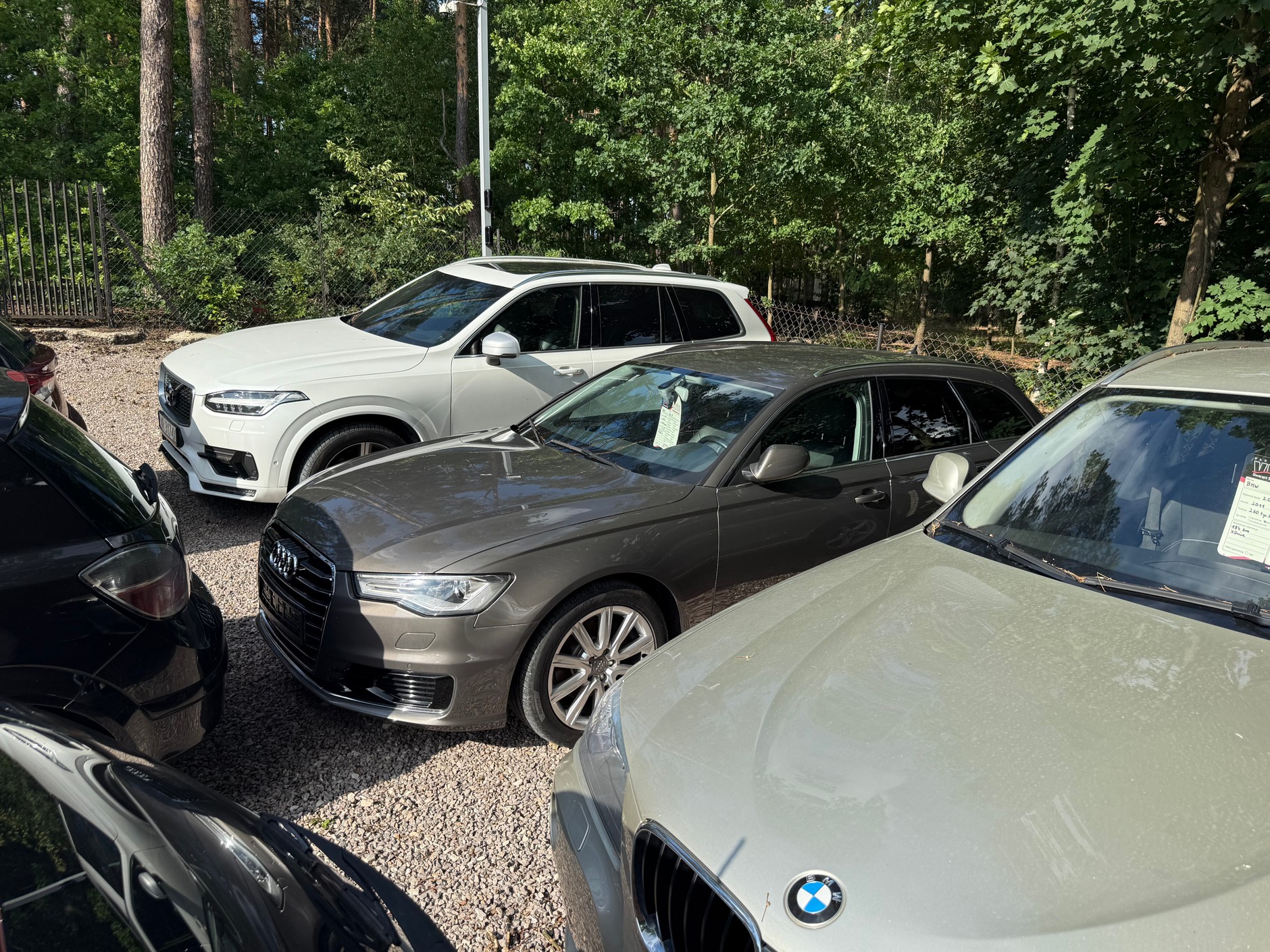 Audi A6 z ogłoszenia