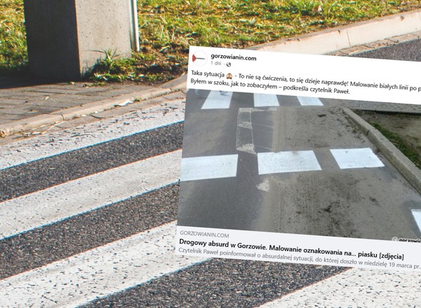 Kuriozalna sytuacja w Gorzowie Wlkp. Pan Paweł wyciągnął aparat. "To się dzieje naprawdę!"