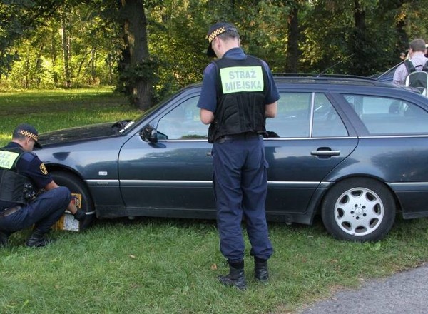 500 zł za parkowanie na trawniku