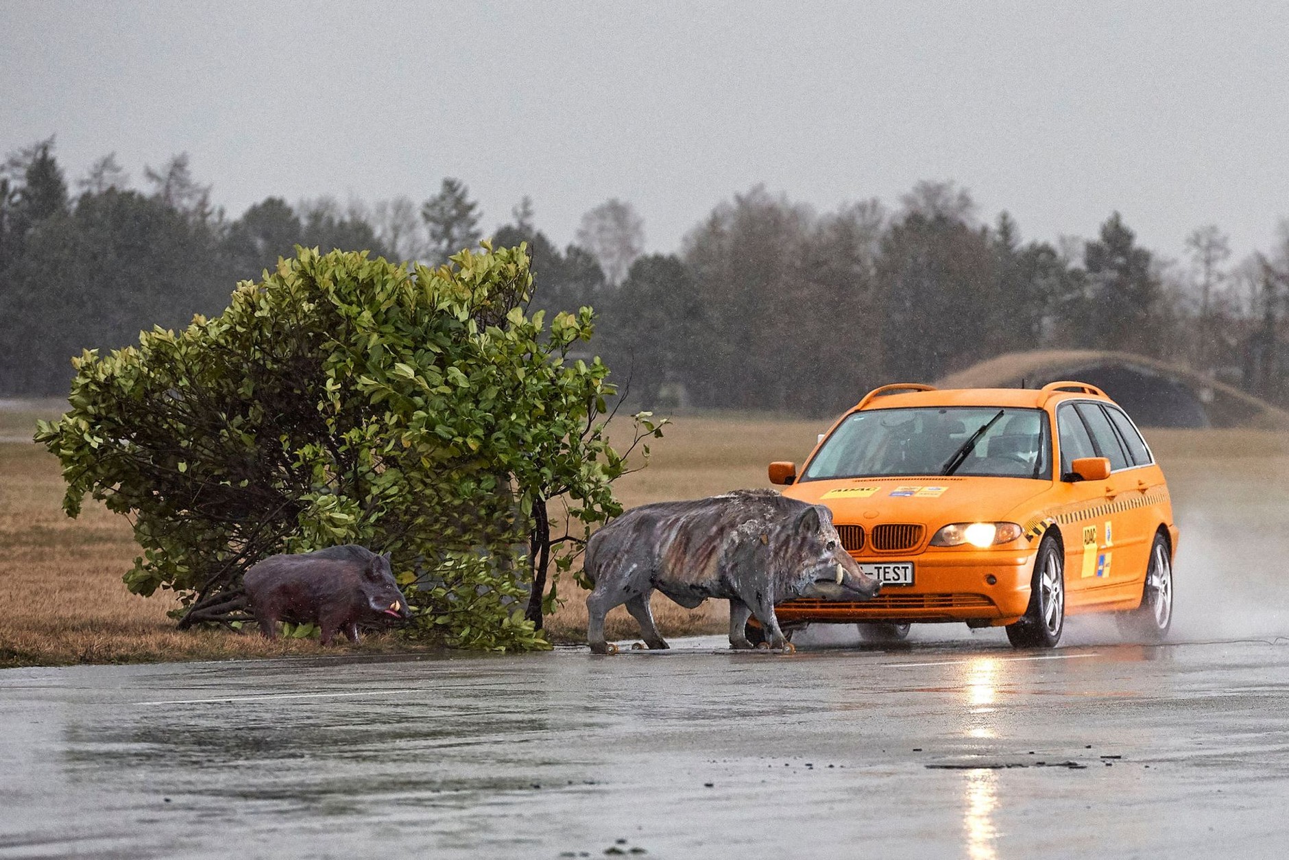 Kolizja ze zwierzęciem. Test ADAC z wykorzystaniem 180 kg manekinem dzika