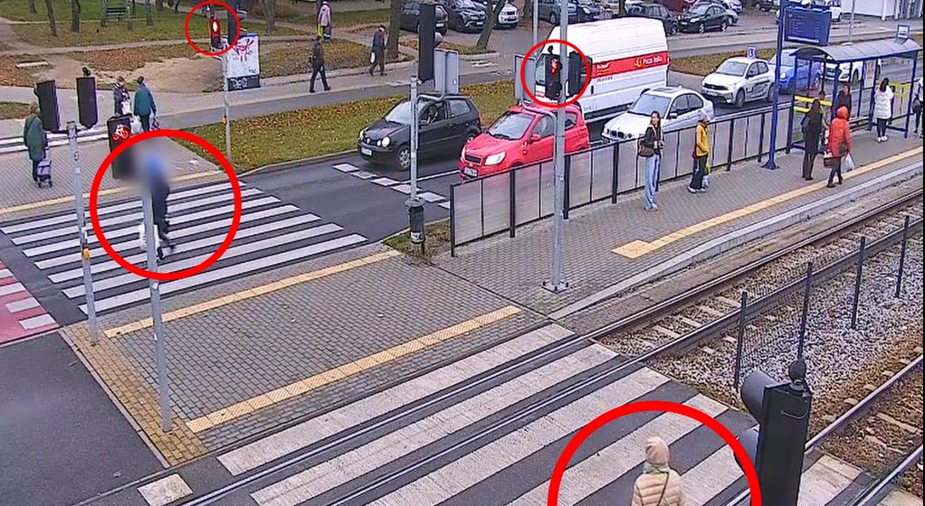 Piesi masowo ignorują czerwone światła