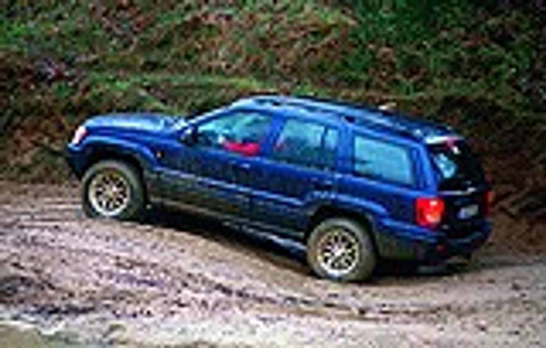 Czwórka z jednej stajni